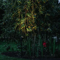 QAZQA Spike Spot schwarz 40 cm inkl. Kabel und Stecker IP44 - Basic