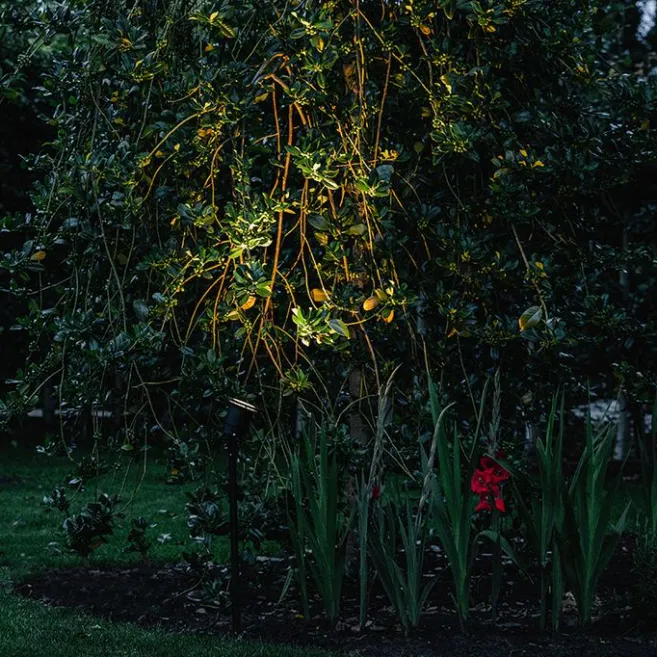 QAZQA Spike Spot schwarz 40 cm inkl. Kabel und Stecker IP44 - Basic