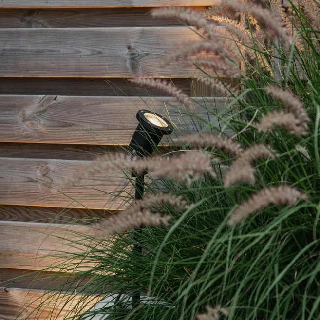 QAZQA Spike Spot schwarz 40 cm inkl. Kabel und Stecker IP44 - Basic