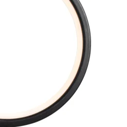 QAZQA Spitzenlicht Schwarz 50 cm Inkl. Wiederaufladbare und Solar LED IP65 - Adalind