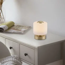 Paul Neuhaus Tischleuchte aus Messing inkl. LED 3-stufig dimmbar mit Touch - Mirko