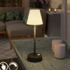 Newgarden Tischleuchte dunkelgrau inkl. LED wiederaufladbar mit Touchdimmer - Renata