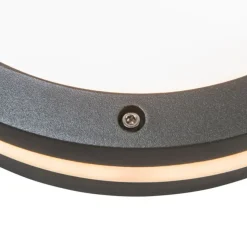 QAZQA Wand- und Deckenleuchte Dunkelgrau 2-flammig IP54 - Glow